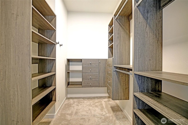 1699 SE Camano Dr, Camano Island, WA 98282 - spacious closet with carpet flooring