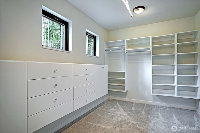 1699 SE Camano Dr, Camano Island, WA 98282 - spacious closet featuring carpet flooring