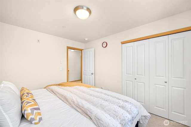 343 Tremont Ave Unit 102, Bellingham, WA 98226 - bedroom featuring light colored carpet and a closet