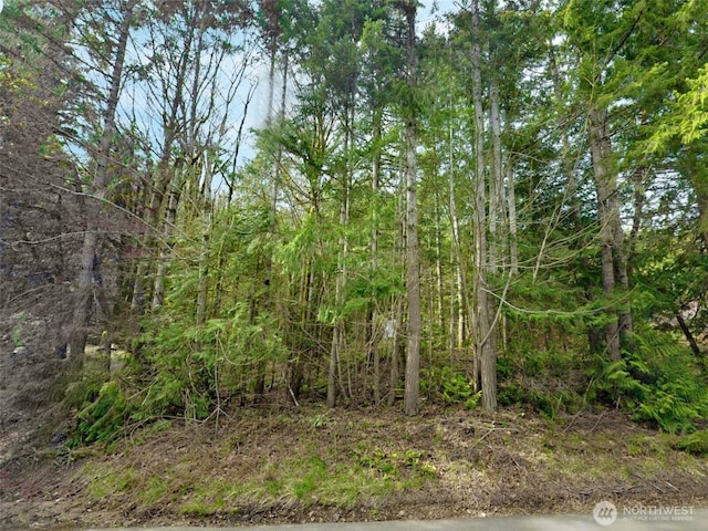 304870 US Highway 101, Brinnon, WA 98320