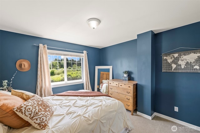 14028 104th Street Ct E, Puyallup, WA 98374 - bedroom with carpet floors and baseboards
