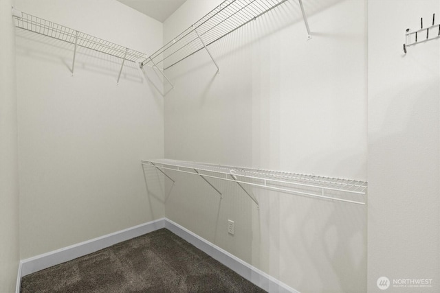 2066 NE Nelson Ln, Issaquah, WA 98029 - photo 25