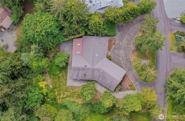 aerial view