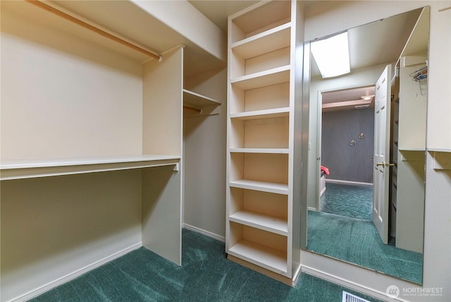 walk in closet with dark colored carpet