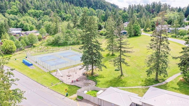bird's eye view of a forest