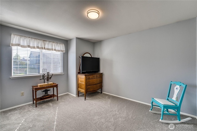 sitting room featuring carpet and baseboards