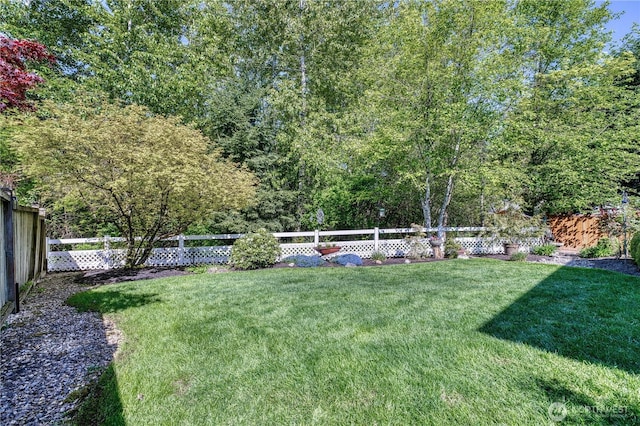 view of yard