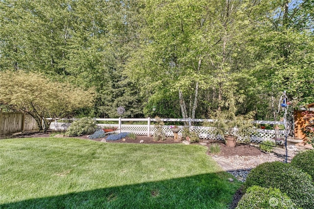 view of yard