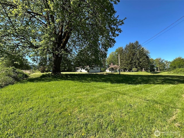 view of green lawn