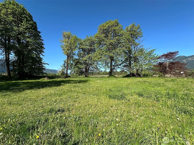 view of yard featuring a mountain view and a view of countryside