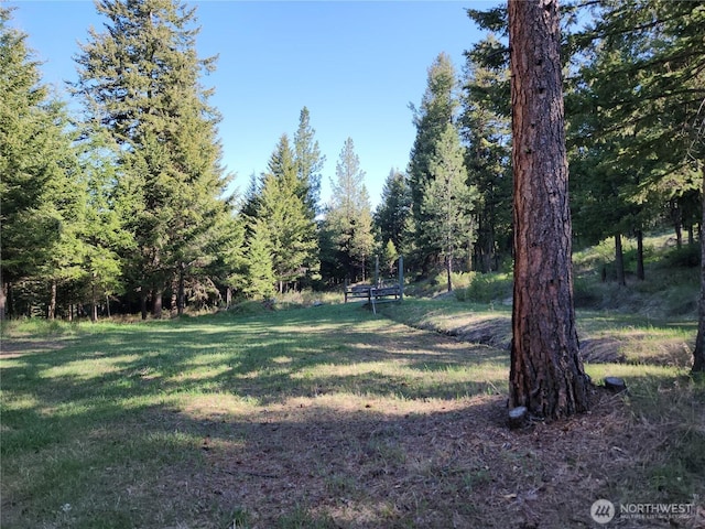51 Trapline Loop Rd, Oroville, WA 98844
