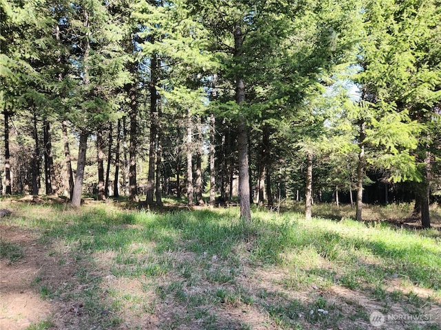 51 Trapline Loop Rd, Oroville, WA 98844
