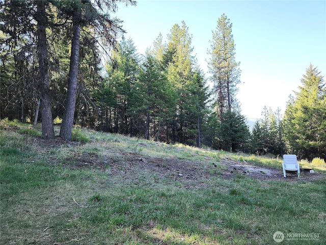 51 Trapline Loop Rd, Oroville, WA 98844