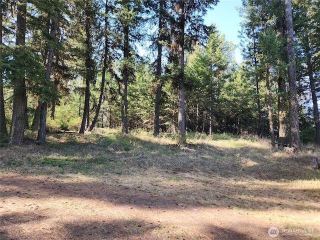 51 Trapline Loop Rd, Oroville, WA 98844