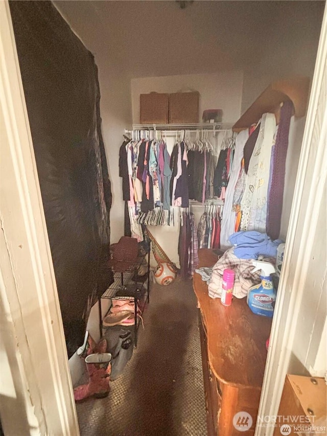 view of walk in closet