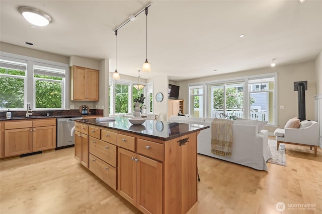 kitchen featuring a sink, stainless steel dishwasher, light wood-style floors, and open floor plan