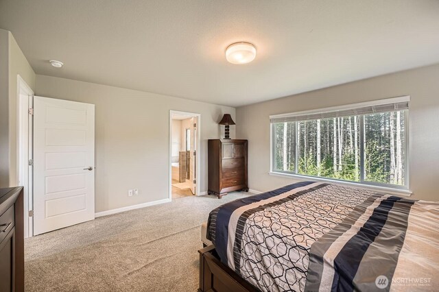 33024 SE Stevens St, Black Diamond, WA 98010 - photo 15
