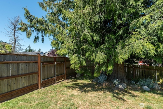 3828 Sutton Pl, Anacortes, WA 98221 - view of yard