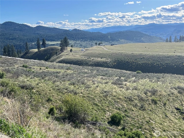 0LOT42 Point Dr, Oroville, WA 98844