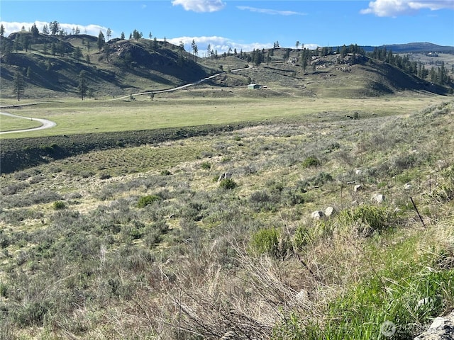 0LOT42 Point Dr, Oroville, WA 98844