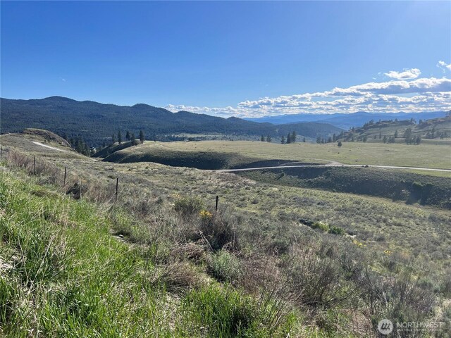 0LOT42 Point Dr, Oroville, WA 98844
