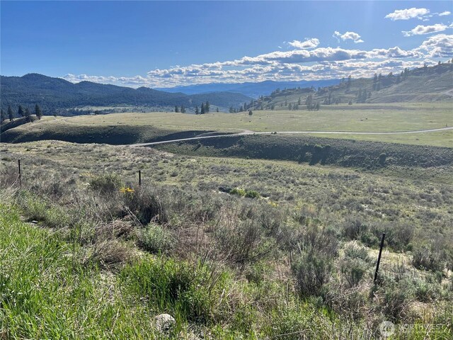 0LOT42 Point Dr, Oroville, WA 98844