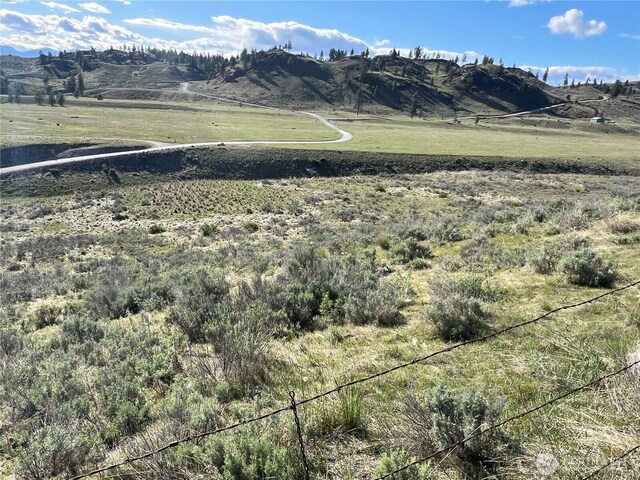0LOT42 Point Dr, Oroville, WA 98844