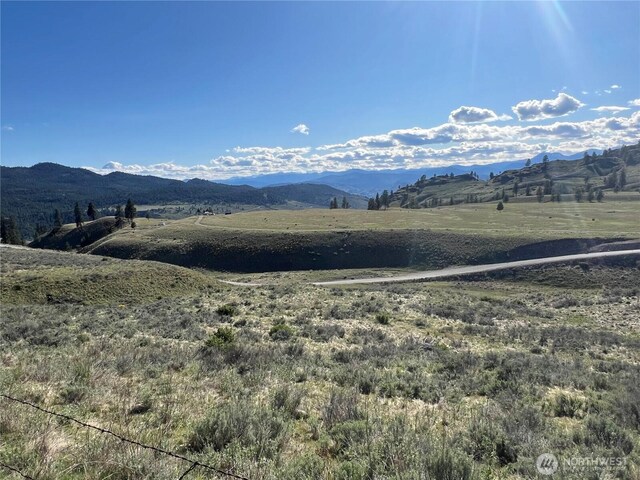 0LOT42 Point Dr, Oroville, WA 98844