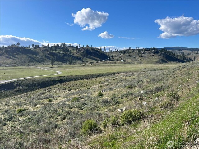 0LOT42 Point Dr, Oroville, WA 98844