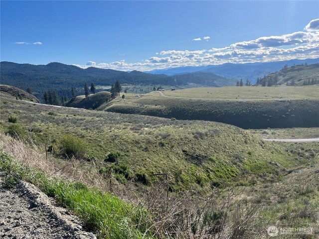 0LOT42 Point Dr, Oroville, WA 98844