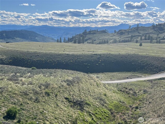 0LOT42 Point Dr, Oroville, WA 98844