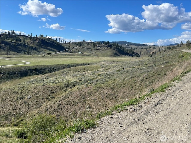 0LOT42 Point Dr, Oroville, WA 98844