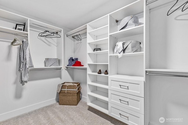 19507 81st Pl NE Unit 3, Kenmore, WA 98028 - spacious closet with carpet floors