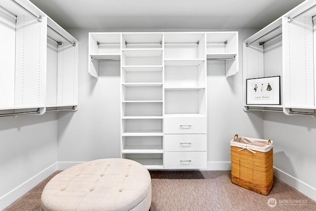 19507 81st Pl NE Unit 3, Kenmore, WA 98028 - spacious closet featuring dark colored carpet