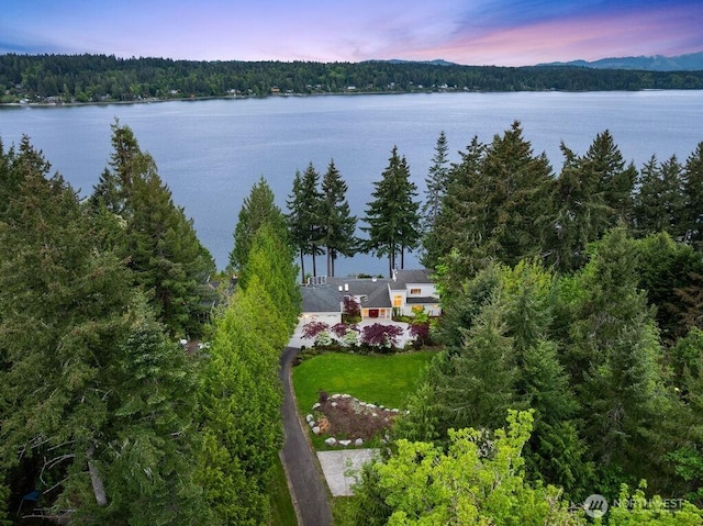 3236 Gravelly Beach Loop NW, Olympia, WA 98502 - aerial view of property and surrounding area with a large body of water and a heavily wooded area