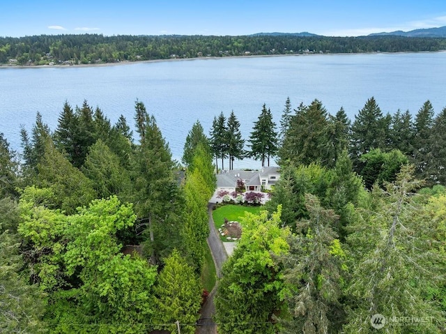 3236 Gravelly Beach Loop NW, Olympia, WA 98502 - drone / aerial view of a forest and a large body of water