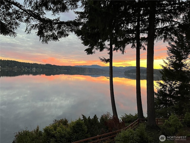 3236 Gravelly Beach Loop NW, Olympia, WA 98502 - water view