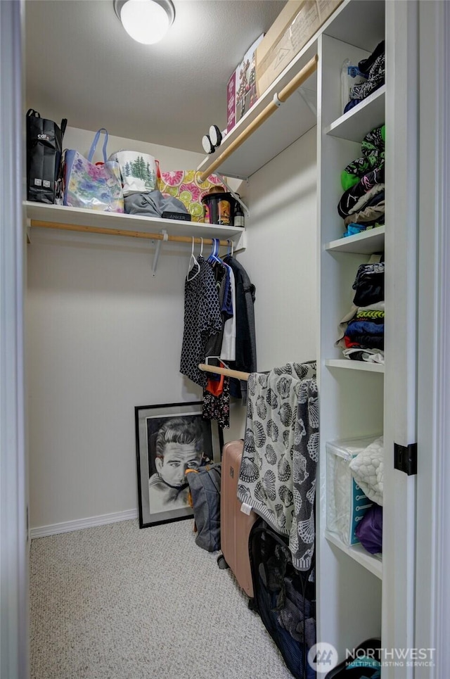 348 Cockle St SW, Ocean Shores, WA 98569 - walk in closet with carpet floors