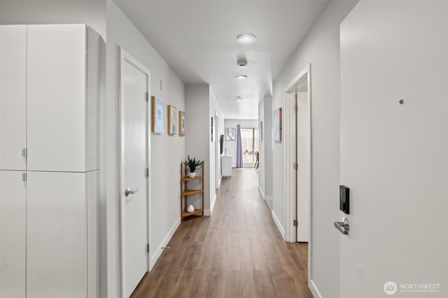 321 10th Ave S Unit 705, Seattle, WA 98104 - hallway with wood finished floors and baseboards