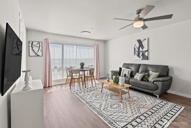 321 10th Ave S Unit 705, Seattle, WA 98104 - living area featuring a ceiling fan and wood finished floors
