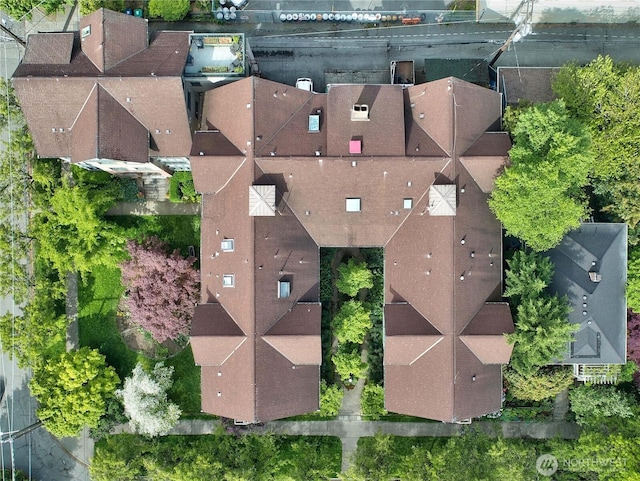 drone / aerial view