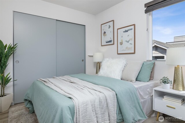 bedroom with multiple windows, wood finished floors, and a closet