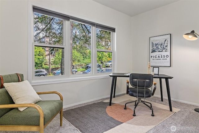 office featuring carpet floors, plenty of natural light, and baseboards