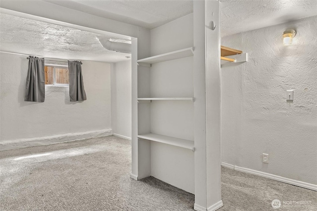 walk in closet featuring carpet