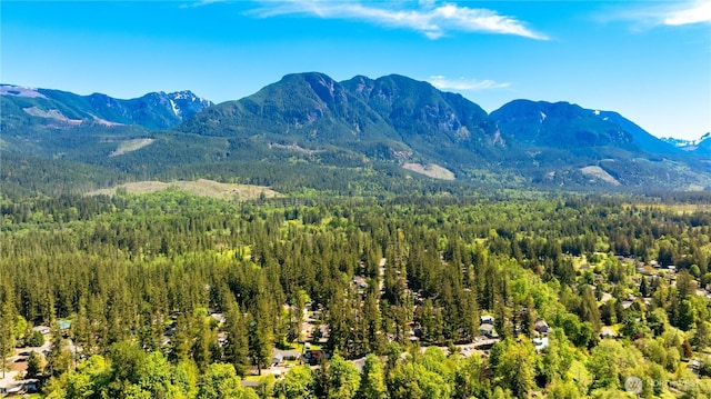 view of mountain background featuring a forest