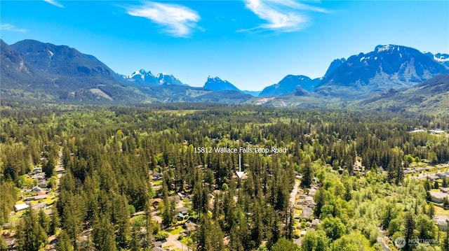 view of mountain background featuring a forest