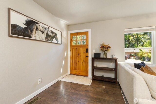 foyer with wood finished floors, healthy amount of natural light, and baseboards
