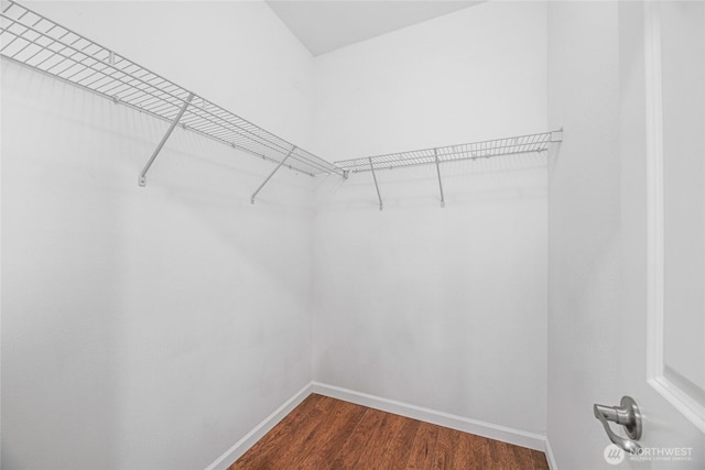 3516 Preston St NE, Lacey, WA 98516 - walk in closet featuring dark wood-style floors