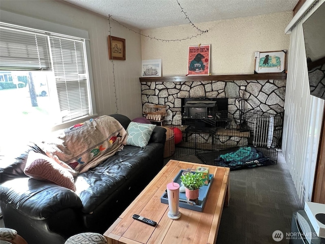2927 Orleans St, Bellingham, WA 98226 - living area featuring a textured ceiling