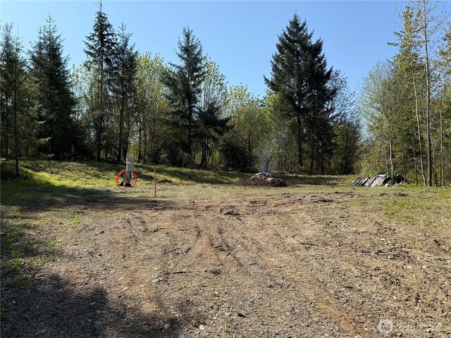 2103 150th Ln SE, Tenino, WA 98589 - photo 1